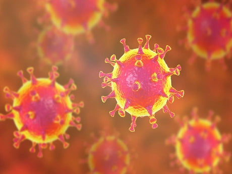 Condom Supply Affected By COVID-19